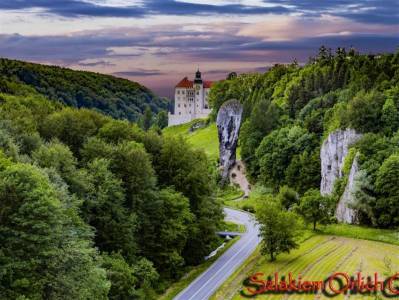 Michał Świderski - Pieszo Szlakiem Orlich Gniazd