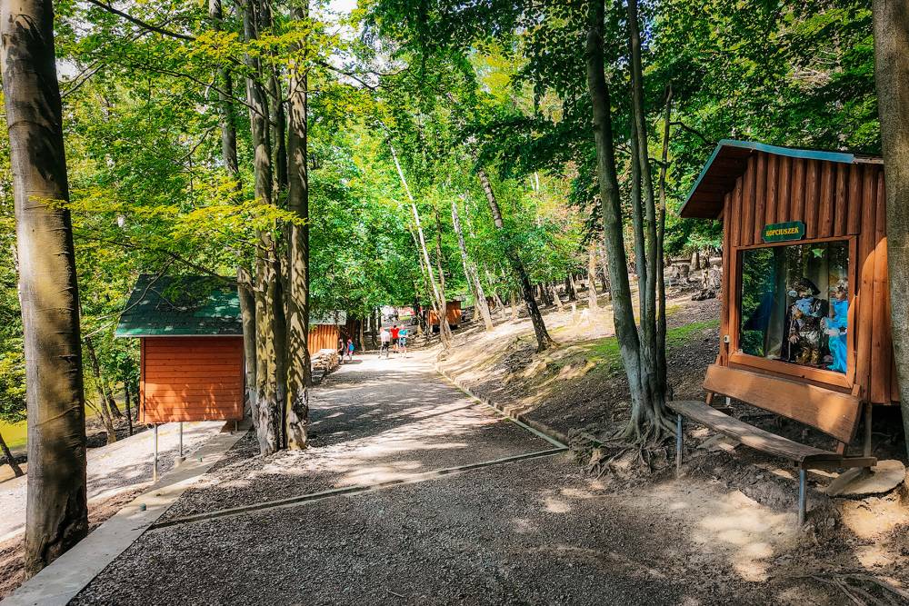 Leśny Park Niespodzianek