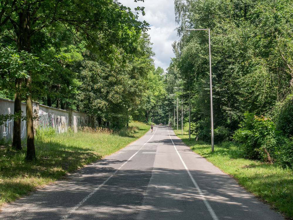 Park Śląski aktywnie