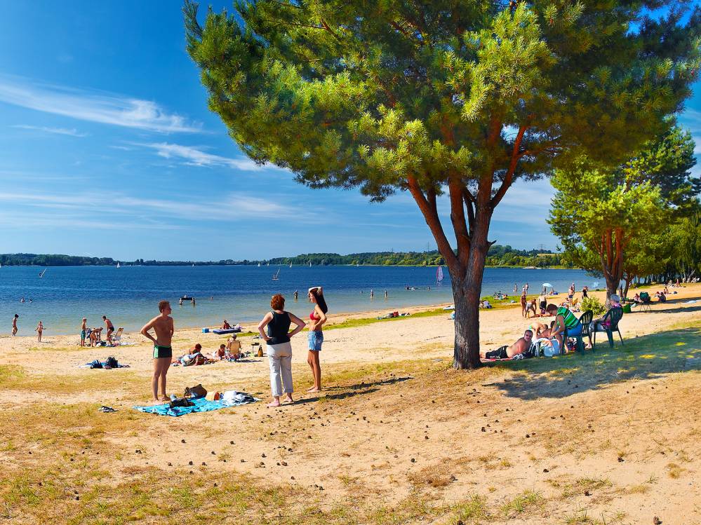 Słoneczna Plaża nad Jeziorem Pławniowickim