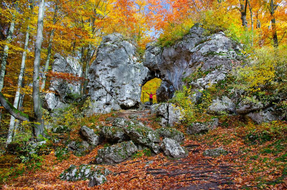 11. Brama Twardowskiego