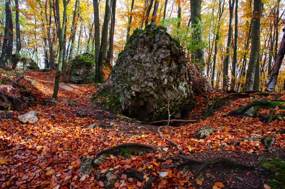 22. Ruiny zamku Ostrężnik