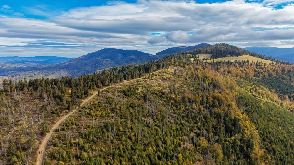 13. Podejście na Boraczy Wierch