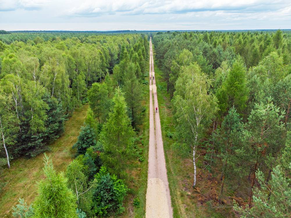 Pętla rowerowa Lasy Rudzkie