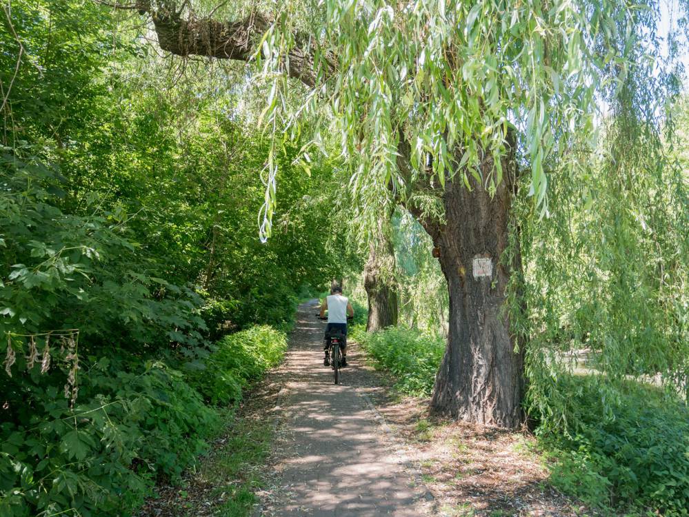 Szlak Dawnego Pogranicza w Sosnowcu