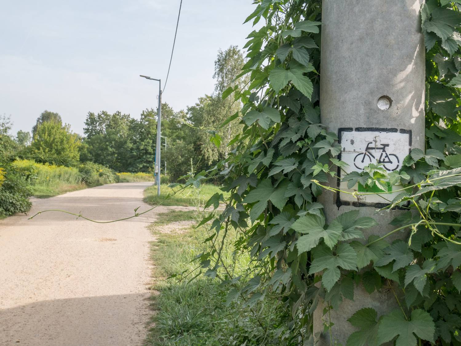 Szlak Czarnego Morza w Sosnowcu