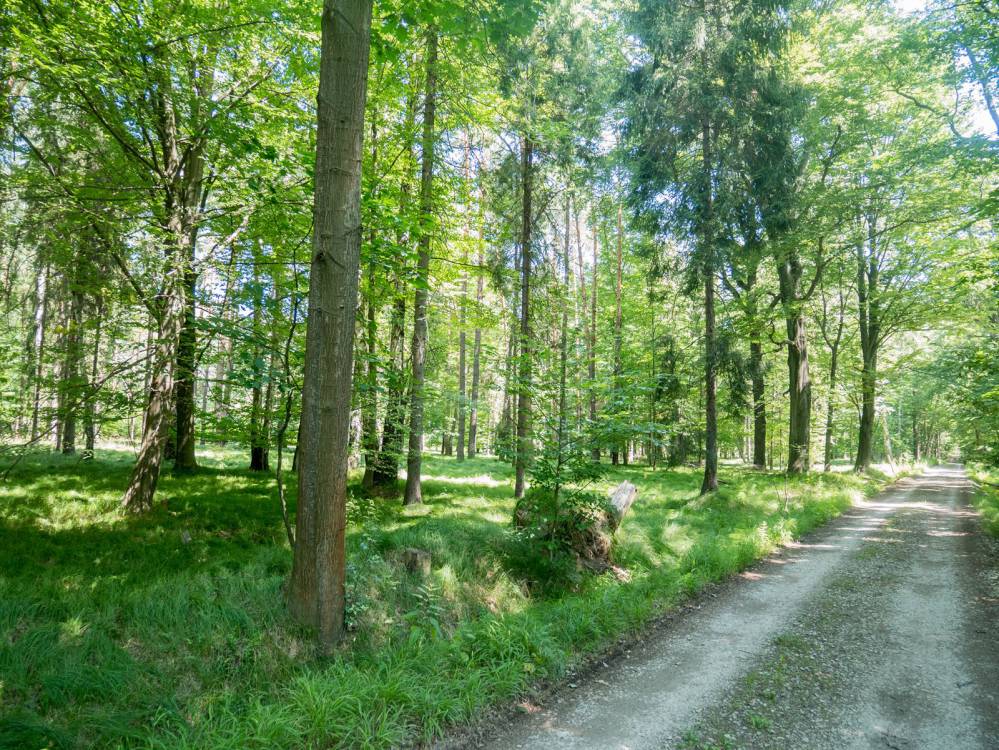 Czarny szlak rowerowy nr 101 Katowice - Lędziny