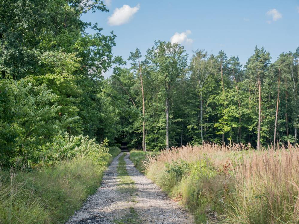 Żółty szlak rowerowy nr 16 - Gliwice - Ujazd