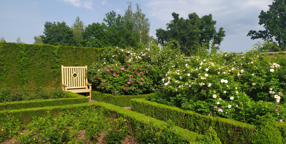 Atrakcje dla dzieci w okolicy Katowic