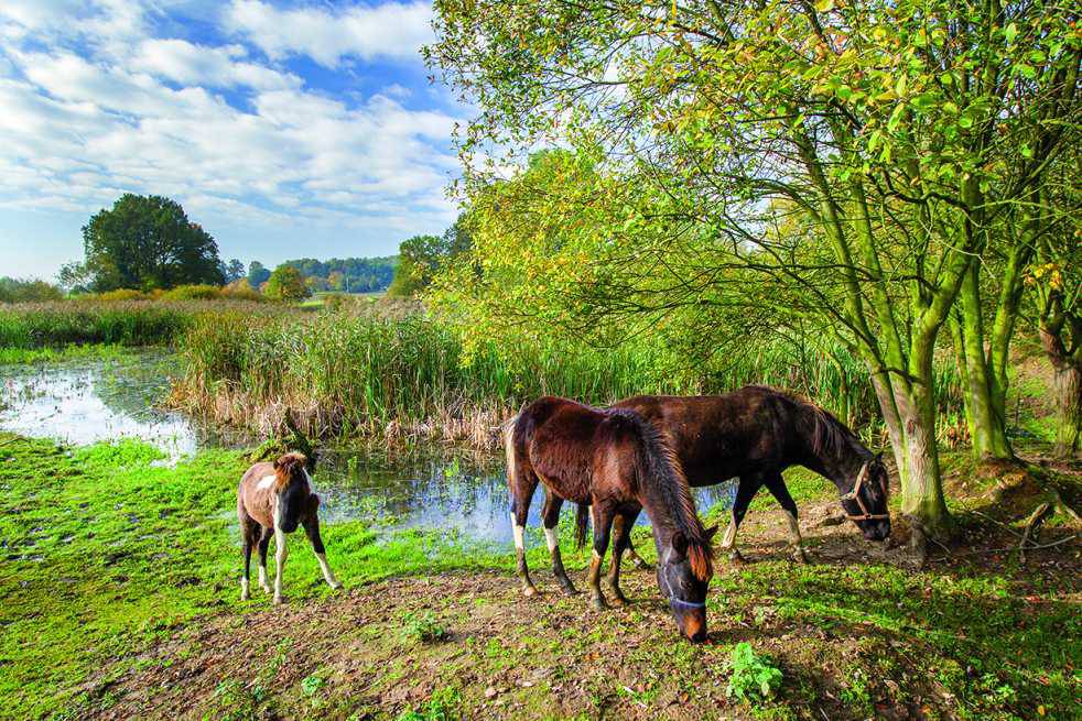 Co robić z dzieckiem