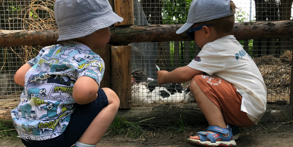 Z dziećmi do Mikołowa