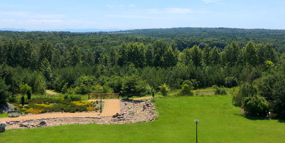 Z dziećmi do Mikołowa