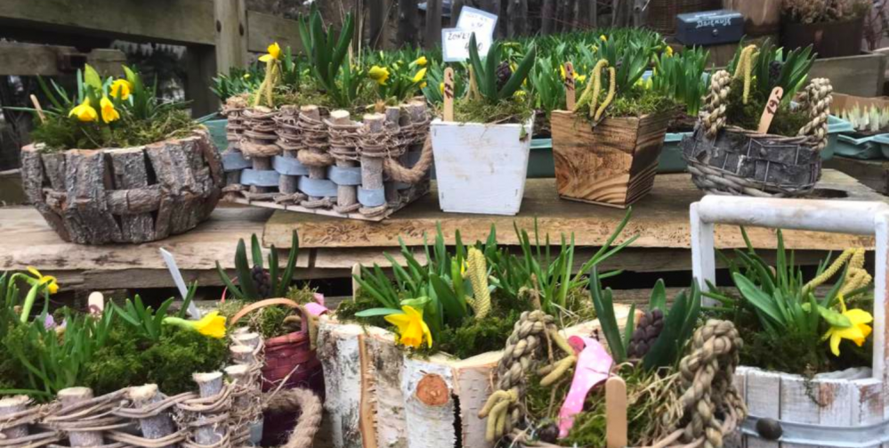 Z dziećmi do Mikołowa