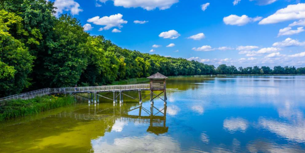 Rudy i atrakcje dla dzieci