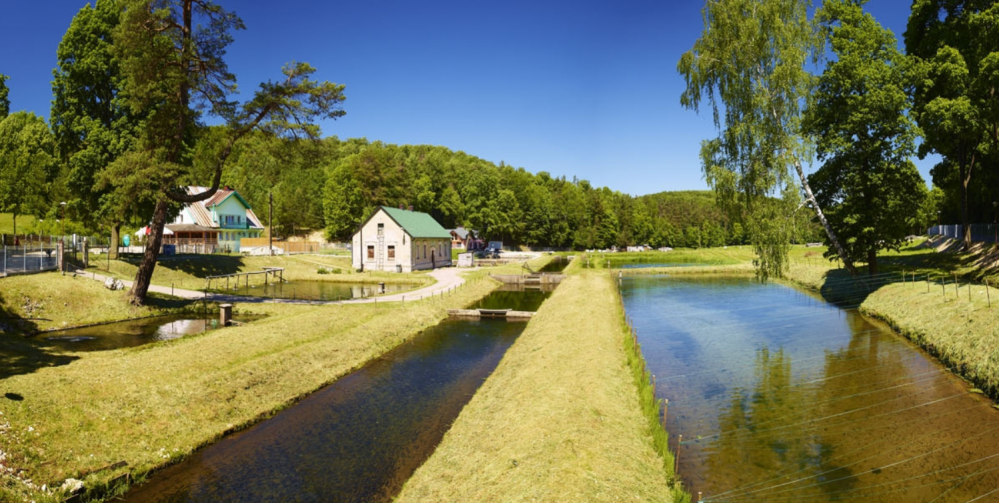 Najlepsze miejsca na Jurze