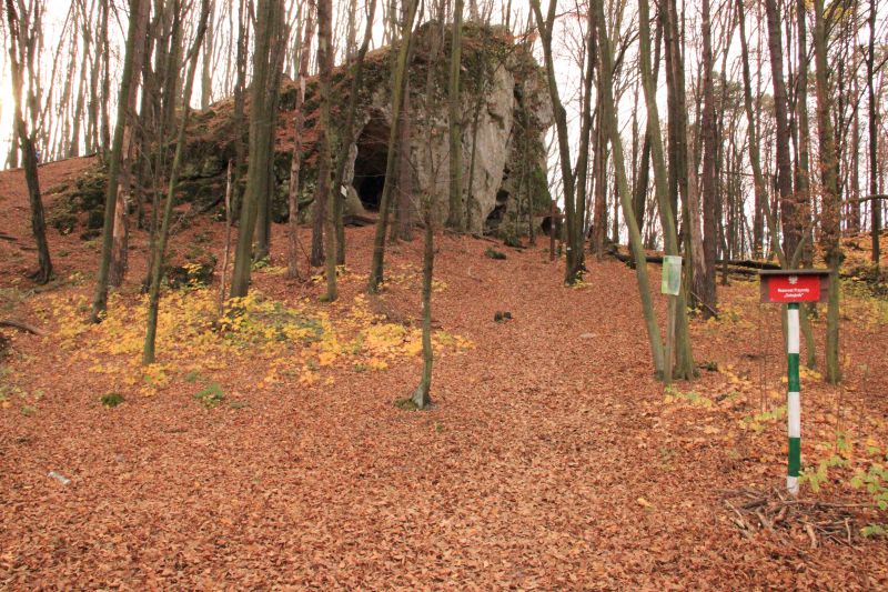 Jaskinia Ostrężnicka fot. Rafał Rębisz